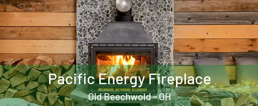 Pacific Energy Fireplace Old Beechwold - OH