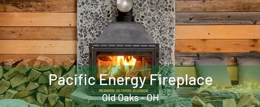 Pacific Energy Fireplace Old Oaks - OH
