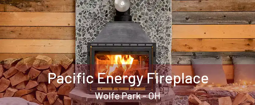 Pacific Energy Fireplace Wolfe Park - OH