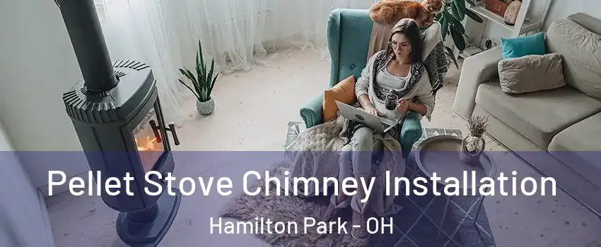 Pellet Stove Chimney Installation Hamilton Park - OH