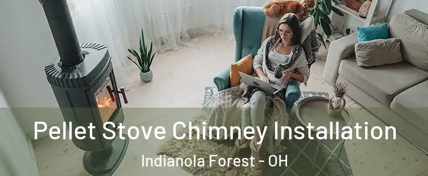 Pellet Stove Chimney Installation Indianola Forest - OH