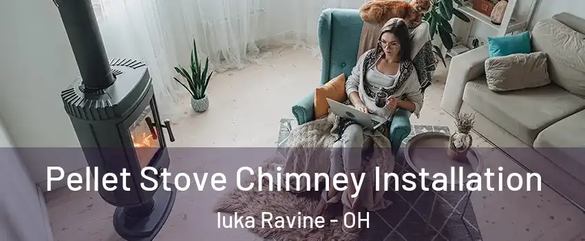 Pellet Stove Chimney Installation Iuka Ravine - OH