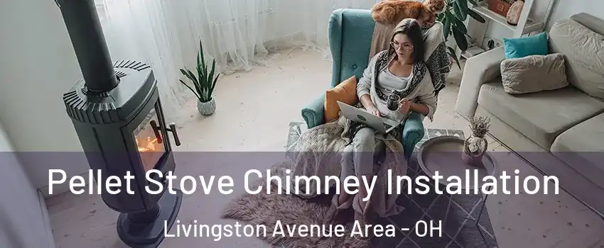 Pellet Stove Chimney Installation Livingston Avenue Area - OH