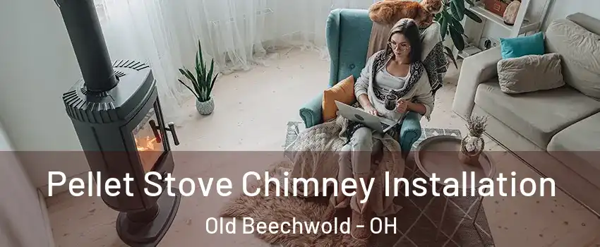 Pellet Stove Chimney Installation Old Beechwold - OH