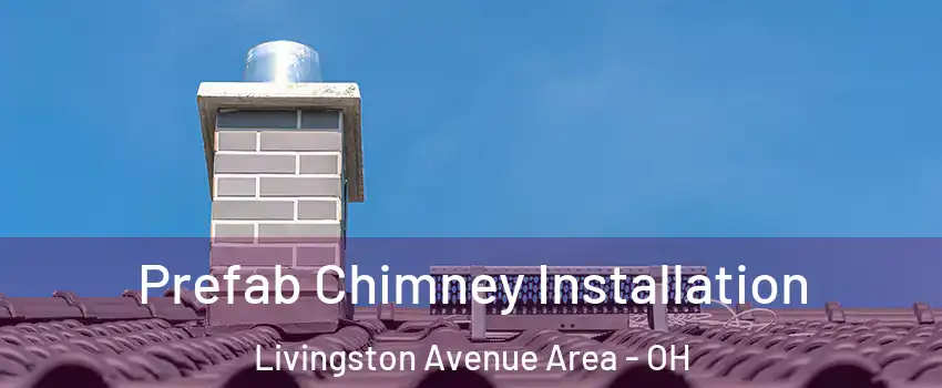 Prefab Chimney Installation Livingston Avenue Area - OH