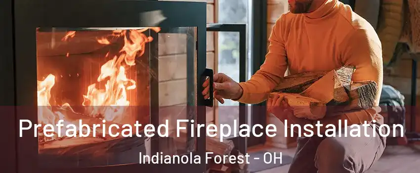 Prefabricated Fireplace Installation Indianola Forest - OH