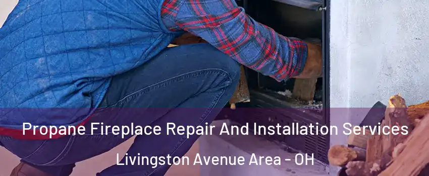 Propane Fireplace Repair And Installation Services Livingston Avenue Area - OH