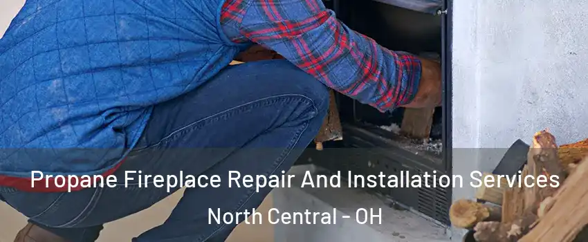 Propane Fireplace Repair And Installation Services North Central - OH