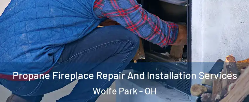 Propane Fireplace Repair And Installation Services Wolfe Park - OH