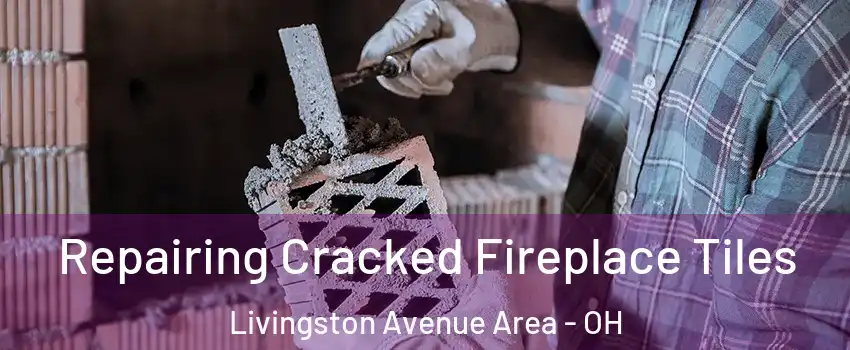 Repairing Cracked Fireplace Tiles Livingston Avenue Area - OH
