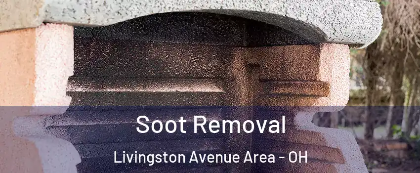 Soot Removal Livingston Avenue Area - OH