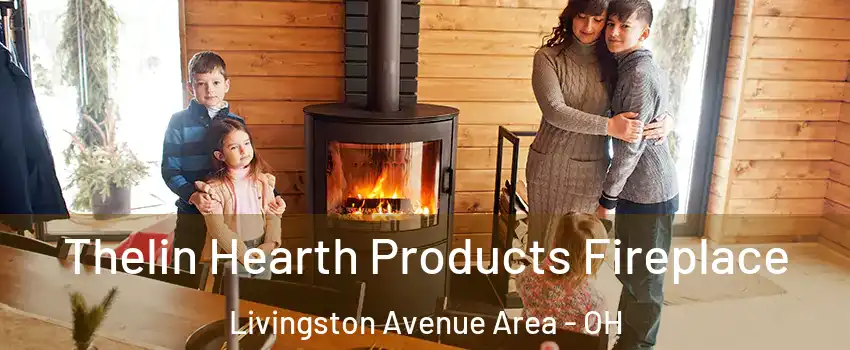 Thelin Hearth Products Fireplace Livingston Avenue Area - OH