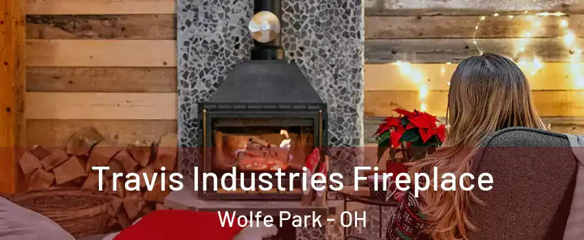 Travis Industries Fireplace Wolfe Park - OH