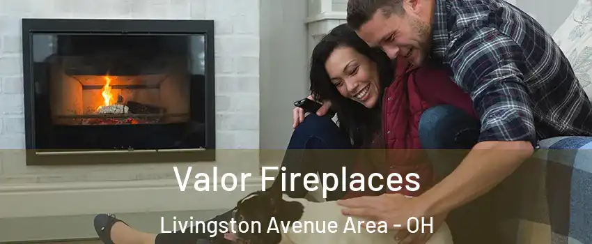 Valor Fireplaces Livingston Avenue Area - OH