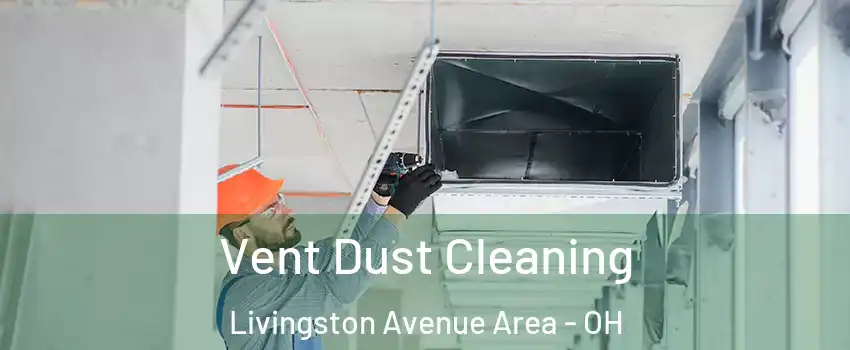 Vent Dust Cleaning Livingston Avenue Area - OH