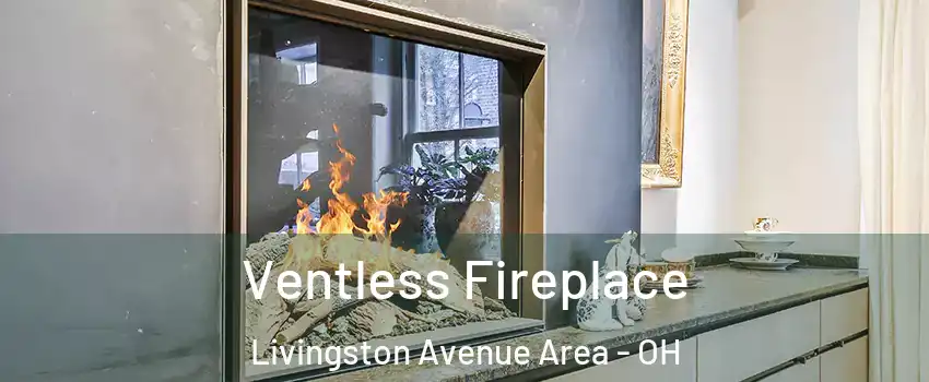 Ventless Fireplace Livingston Avenue Area - OH