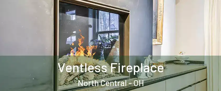 Ventless Fireplace North Central - OH