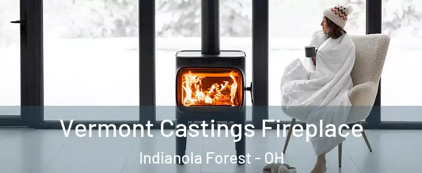Vermont Castings Fireplace Indianola Forest - OH
