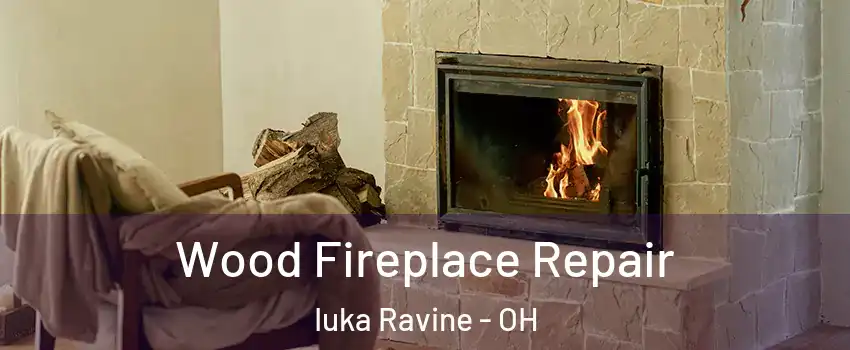 Wood Fireplace Repair Iuka Ravine - OH