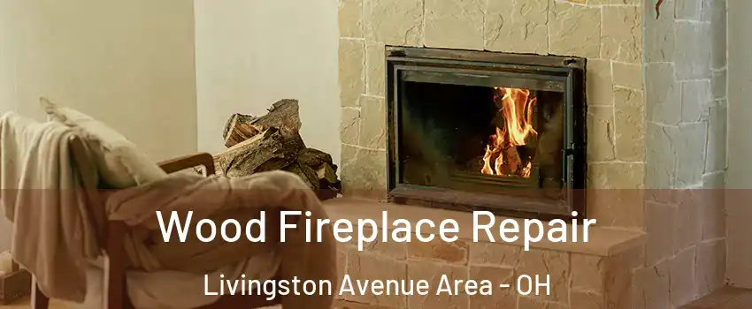 Wood Fireplace Repair Livingston Avenue Area - OH
