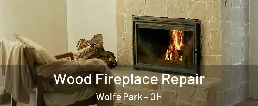 Wood Fireplace Repair Wolfe Park - OH