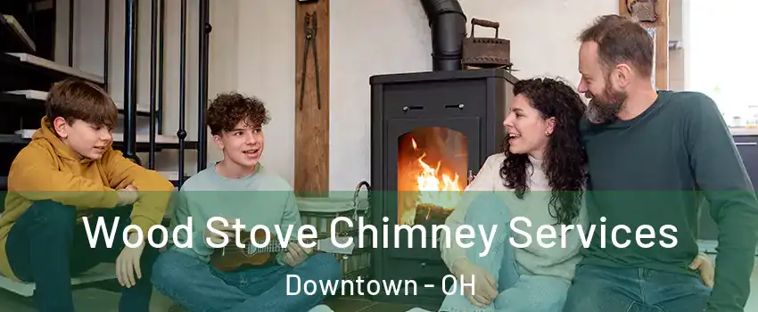 Wood Stove Chimney Services Downtown - OH