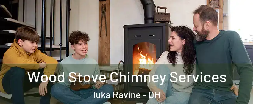 Wood Stove Chimney Services Iuka Ravine - OH