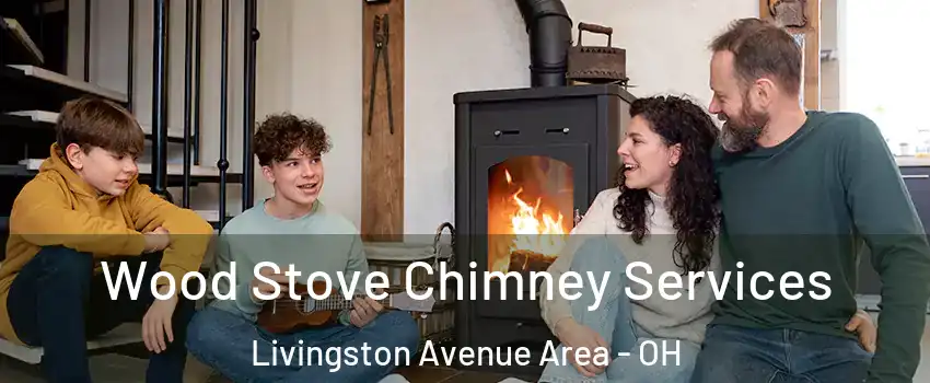 Wood Stove Chimney Services Livingston Avenue Area - OH