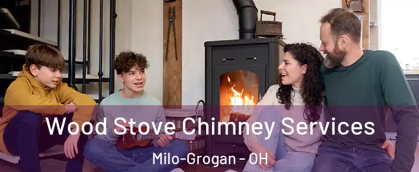 Wood Stove Chimney Services Milo-Grogan - OH