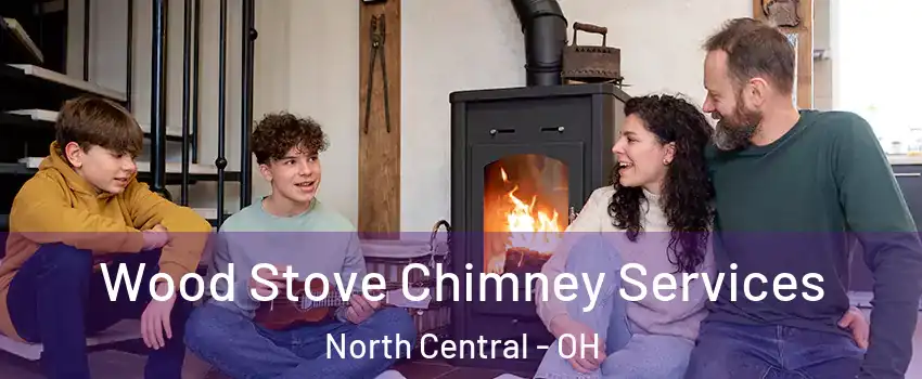 Wood Stove Chimney Services North Central - OH