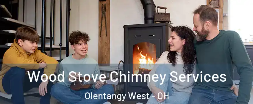 Wood Stove Chimney Services Olentangy West - OH