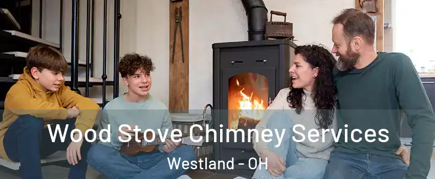 Wood Stove Chimney Services Westland - OH