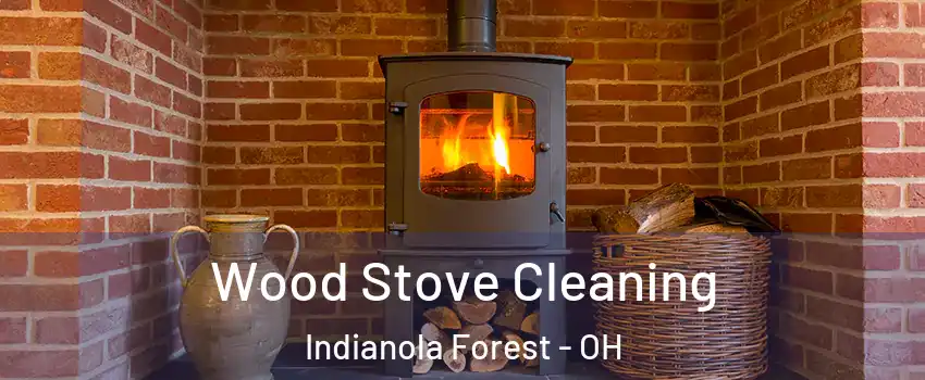 Wood Stove Cleaning Indianola Forest - OH