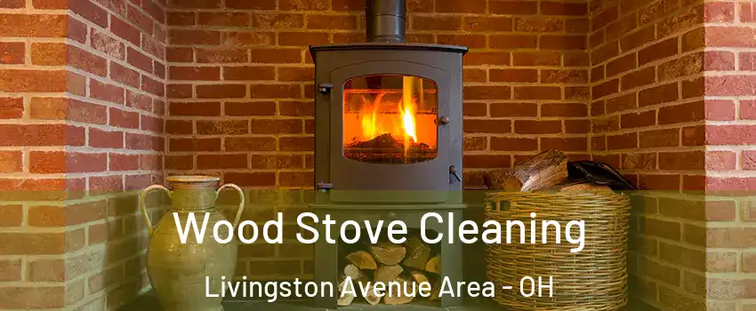 Wood Stove Cleaning Livingston Avenue Area - OH