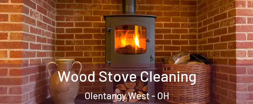 Wood Stove Cleaning Olentangy West - OH