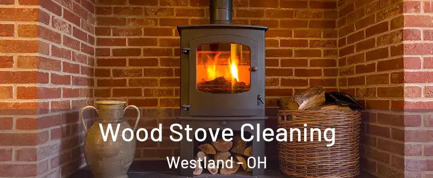 Wood Stove Cleaning Westland - OH