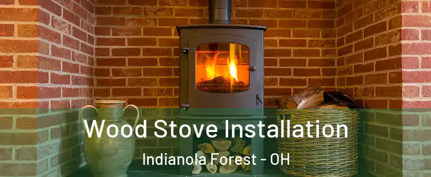 Wood Stove Installation Indianola Forest - OH