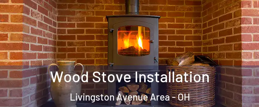 Wood Stove Installation Livingston Avenue Area - OH