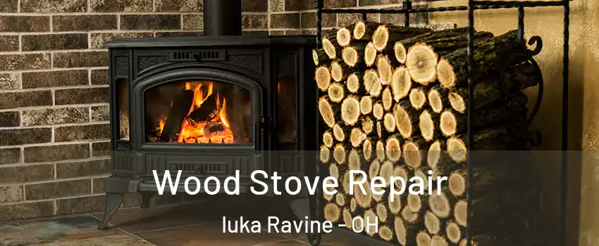 Wood Stove Repair Iuka Ravine - OH