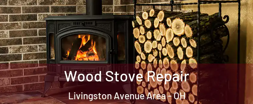 Wood Stove Repair Livingston Avenue Area - OH