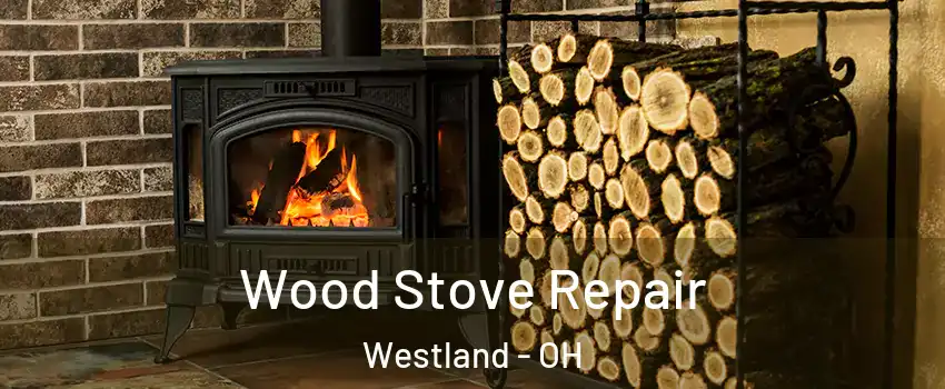 Wood Stove Repair Westland - OH